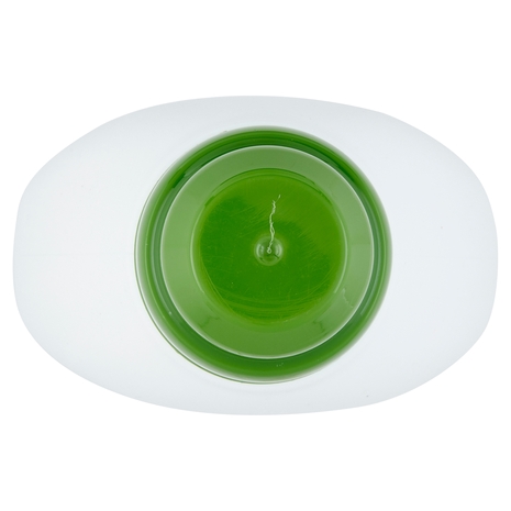 Gel Anticalcare Lavatrice Green Oasis